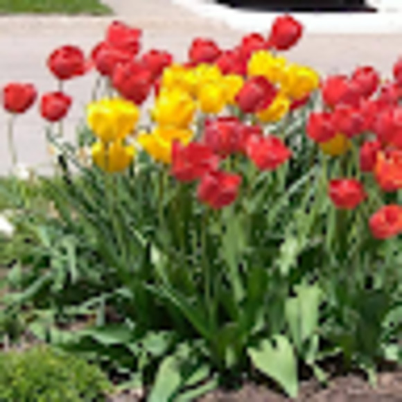 Meet your Posher, Miriam - Picture 1 of 1